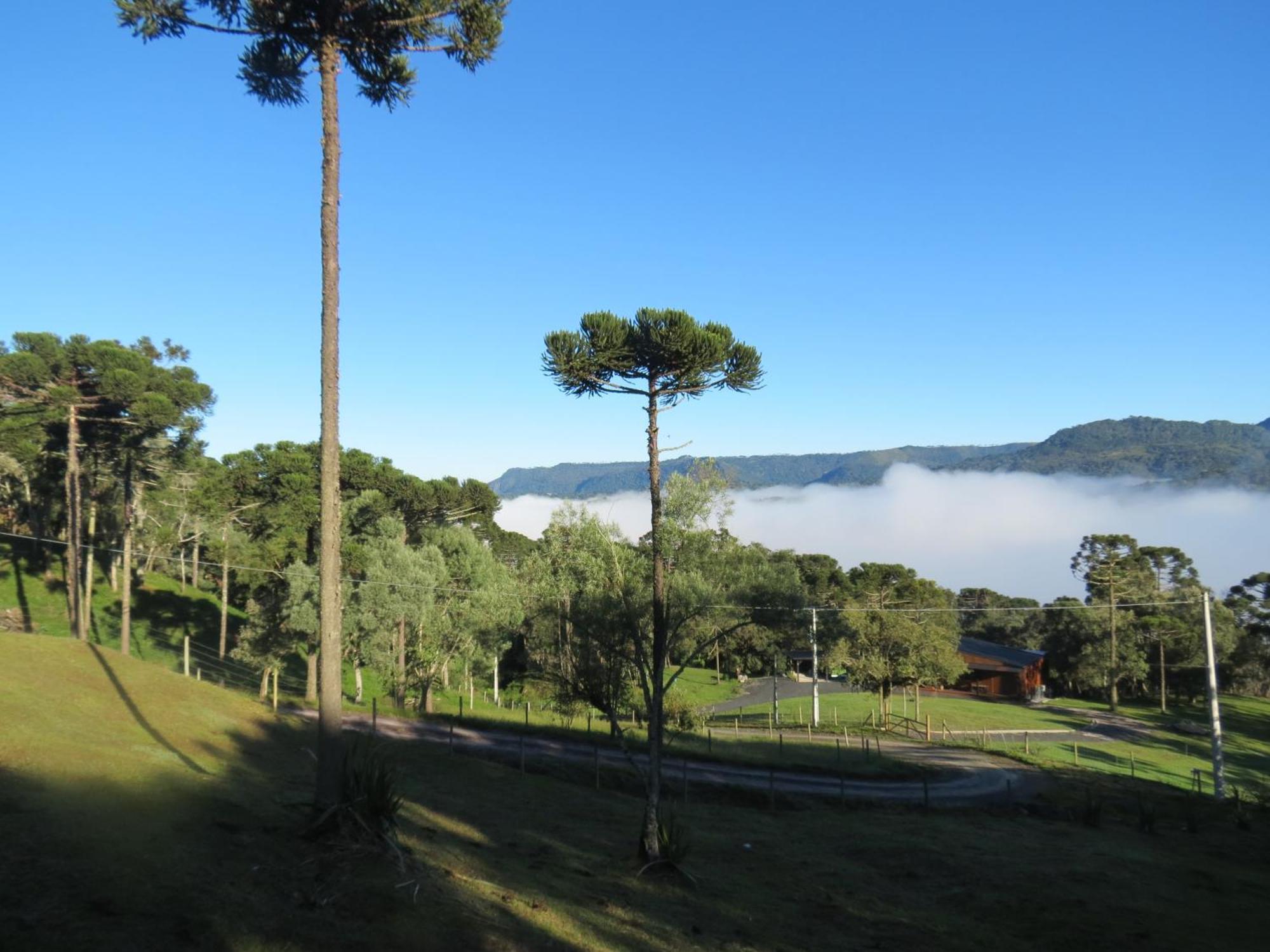 Vila Refugio Da Montanha Urubici Exteriér fotografie