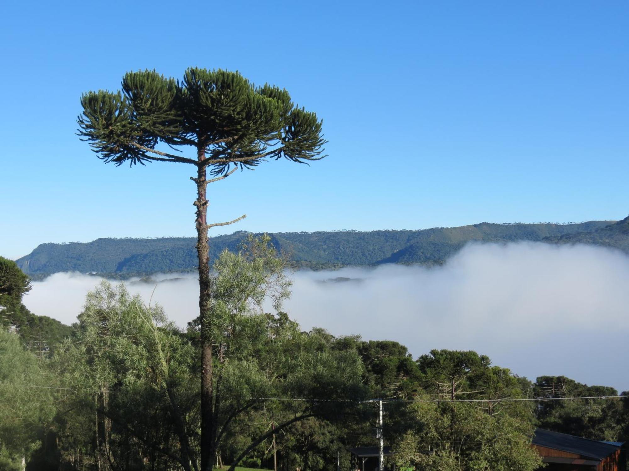 Vila Refugio Da Montanha Urubici Exteriér fotografie