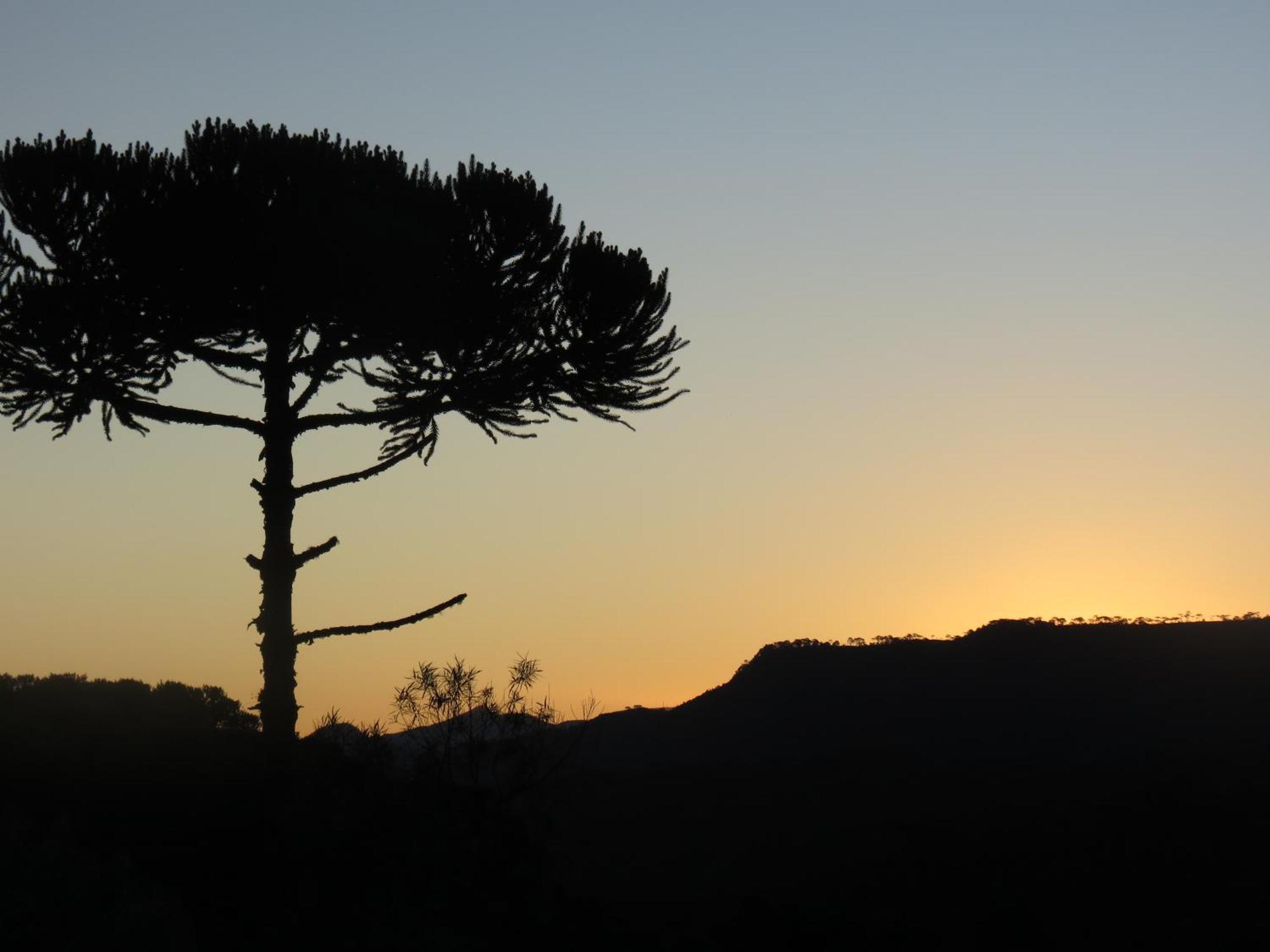 Vila Refugio Da Montanha Urubici Exteriér fotografie